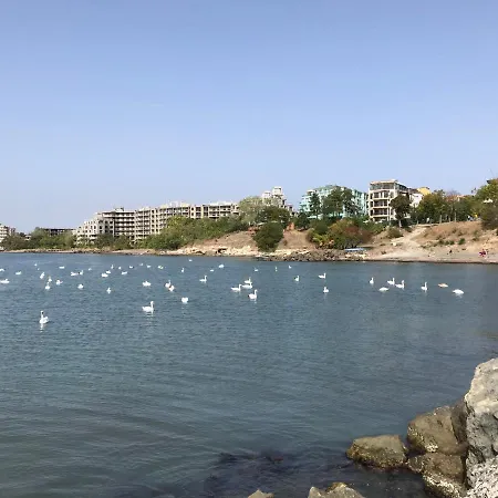 Penthouse Panorama Sea View Apt. * 포마리